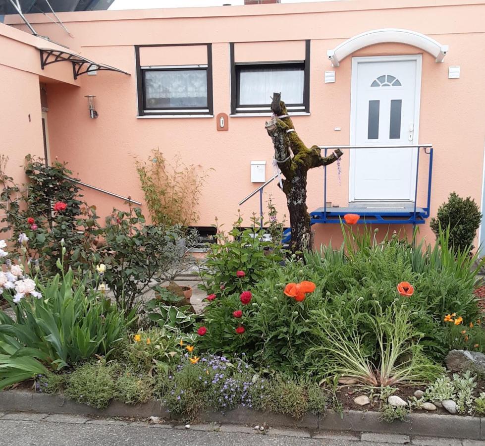 Flat Apartment Offenburg Luaran gambar